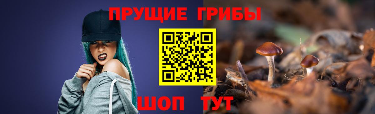 Галлюциногенные грибы Psilocybine cubensis  Вход с VPN  Братск 