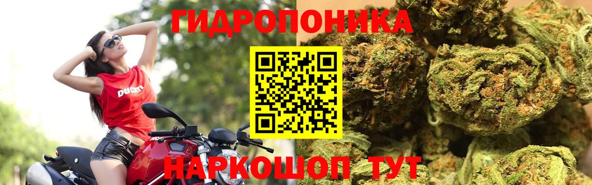 Каннабис Bruce Banner Братск